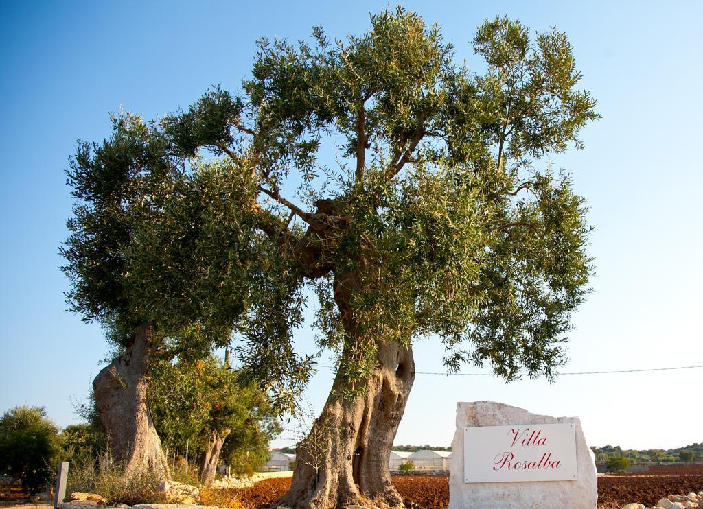 Villa Rosalba Polignano a Mare Zewnętrze zdjęcie